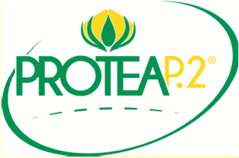 REEXOM Energy Company Limited